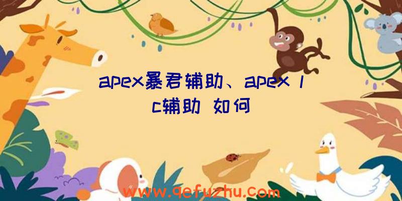 apex暴君辅助、apex